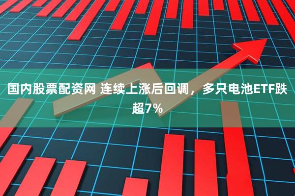 国内股票配资网 连续上涨后回调,多只电池ETF跌超7%