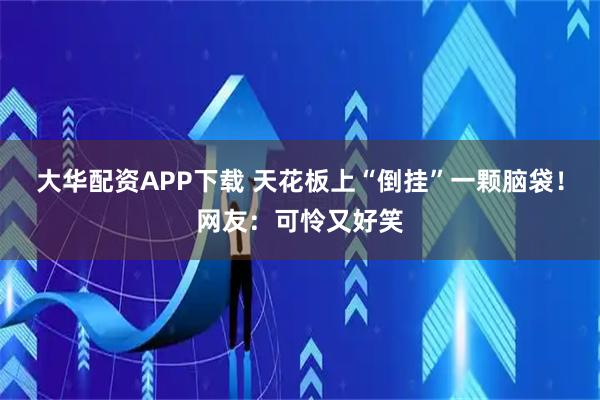 大华配资APP下载 天花板上“倒挂”一颗脑袋！网友：可怜又好笑