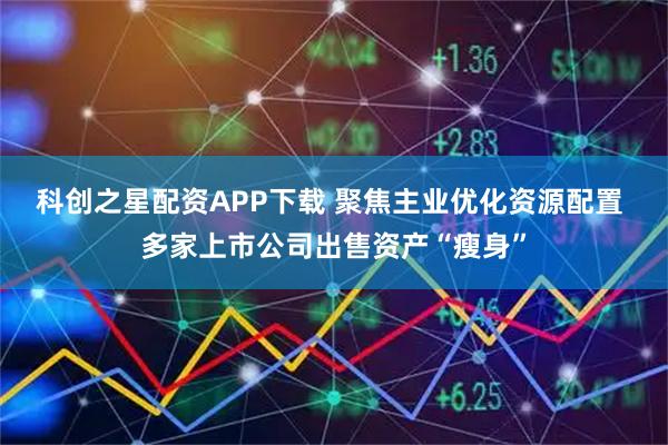 科创之星配资APP下载 聚焦主业优化资源配置 多家上市公司出售资产“瘦身”
