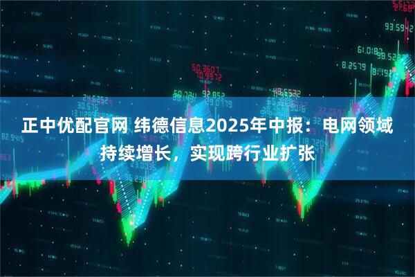 正中优配官网 纬德信息2025年中报：电网领域持续增长，实现跨行业扩张
